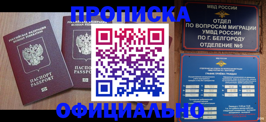 найти адрес прописки в Домодедово